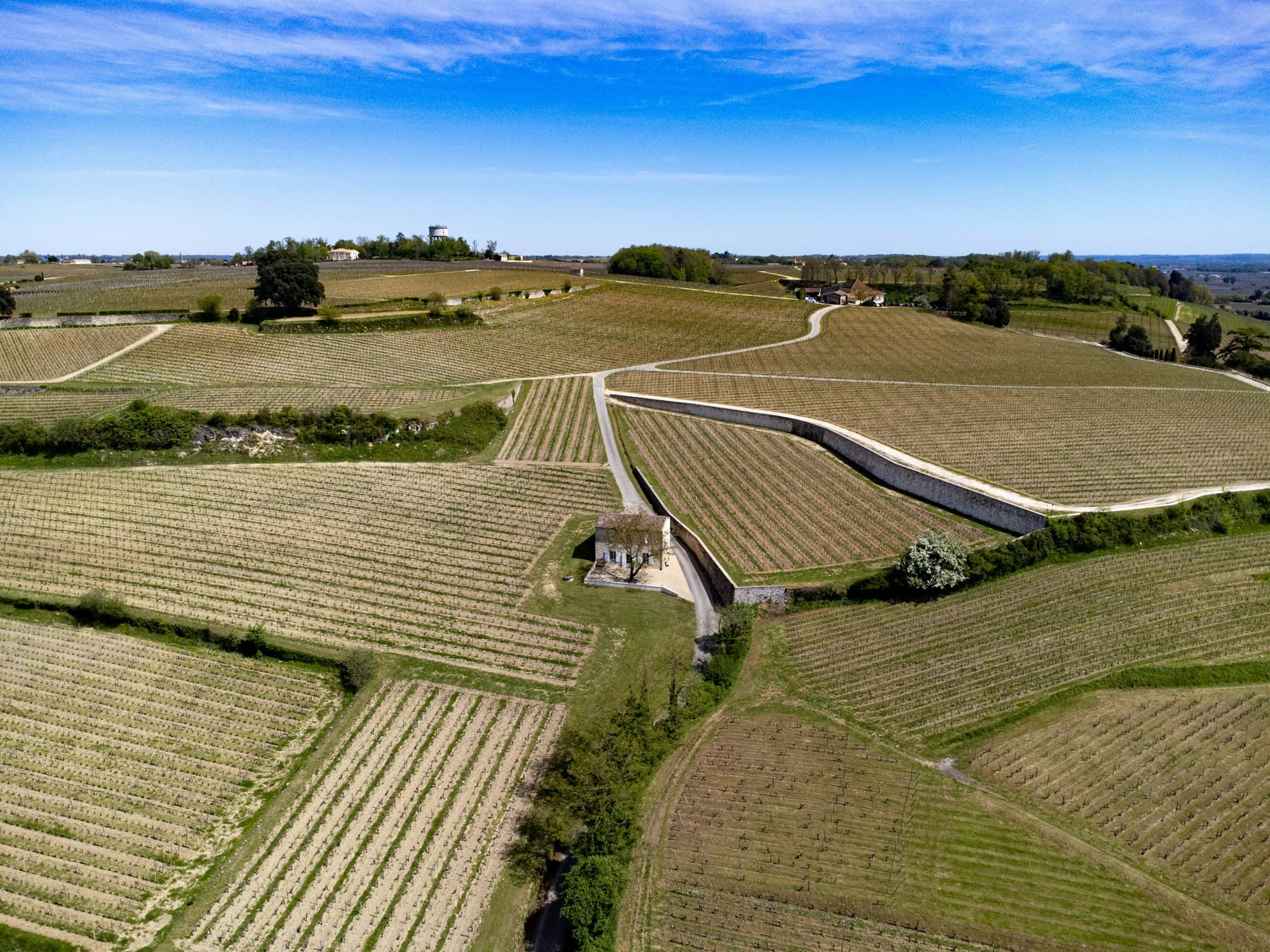 Paysage viticole du Médoc